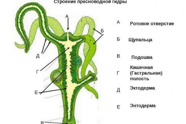 Кракен ссылку где