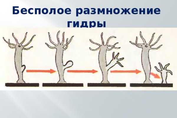 Кракен верное зеркало