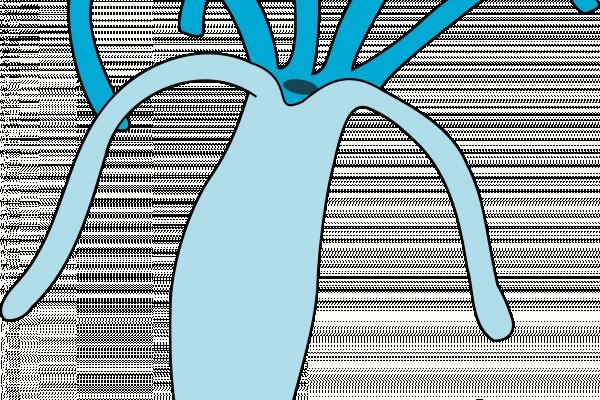 Kraken пользователь не найден при входе