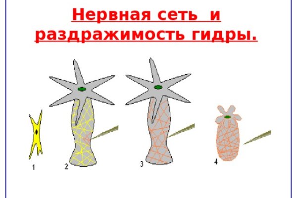 Кракен сайт дарк нет