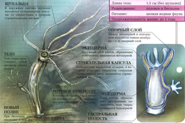 Ссылки на кракен at