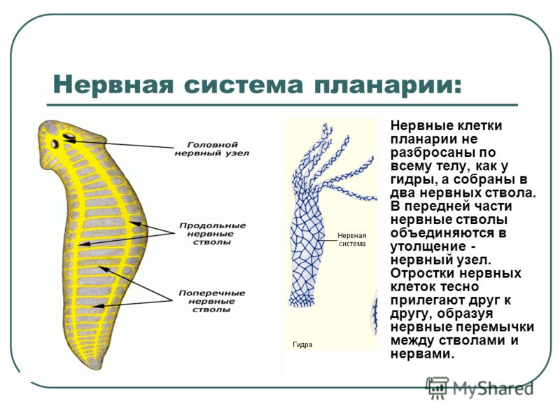 Кракен ссылка