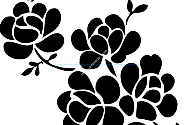 Kraken tor link