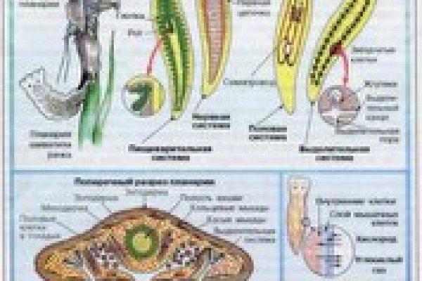 Кракен марке даркнет