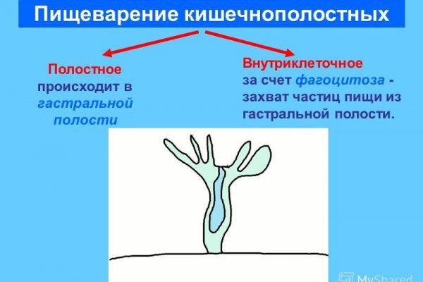 Кракен ссылка тор