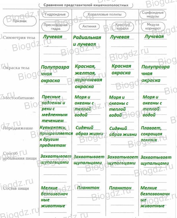Кракен наркошоп ссылка